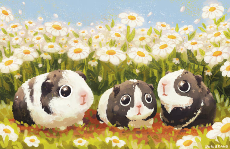 Guinea Pigs Commission (with 2 Additional Characters)